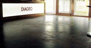 Diageo Interim Results